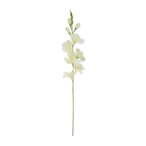Gladiolus – vetvička 77 cm cream K321